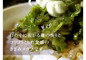 ワカメ